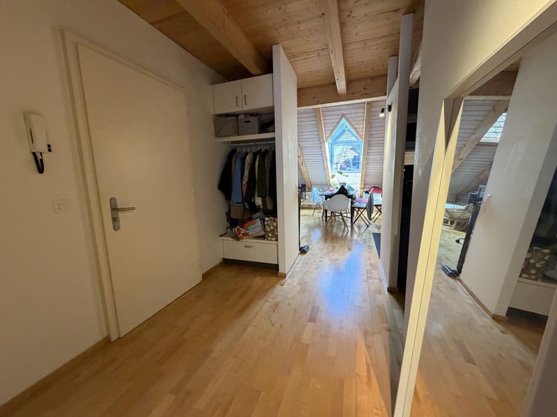 2.5 Zimmerwohnung in Schaffhausen (5)