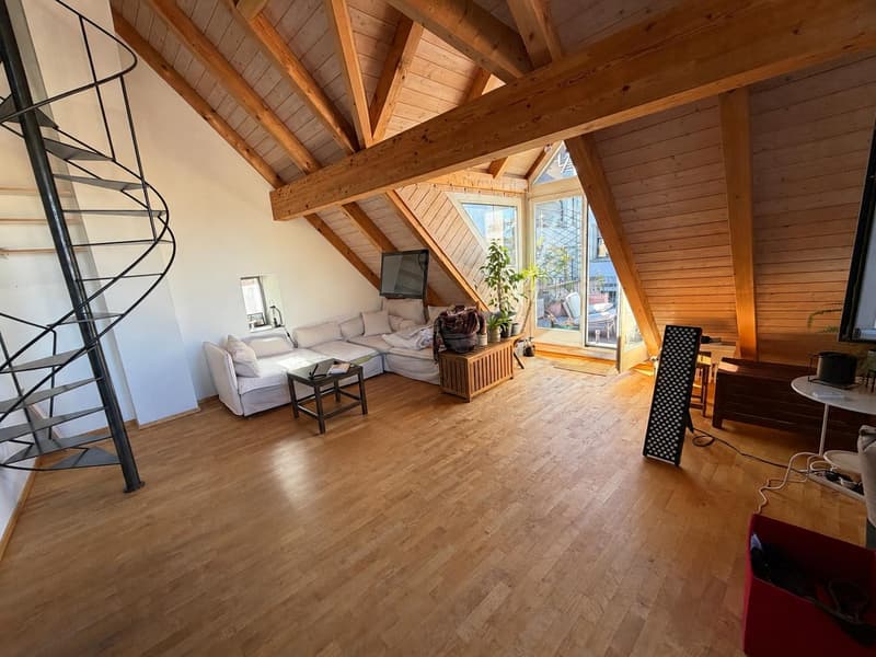 2.5 Zimmerwohnung in Schaffhausen (2)