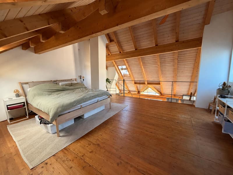 2.5 Zimmerwohnung in Schaffhausen (8)