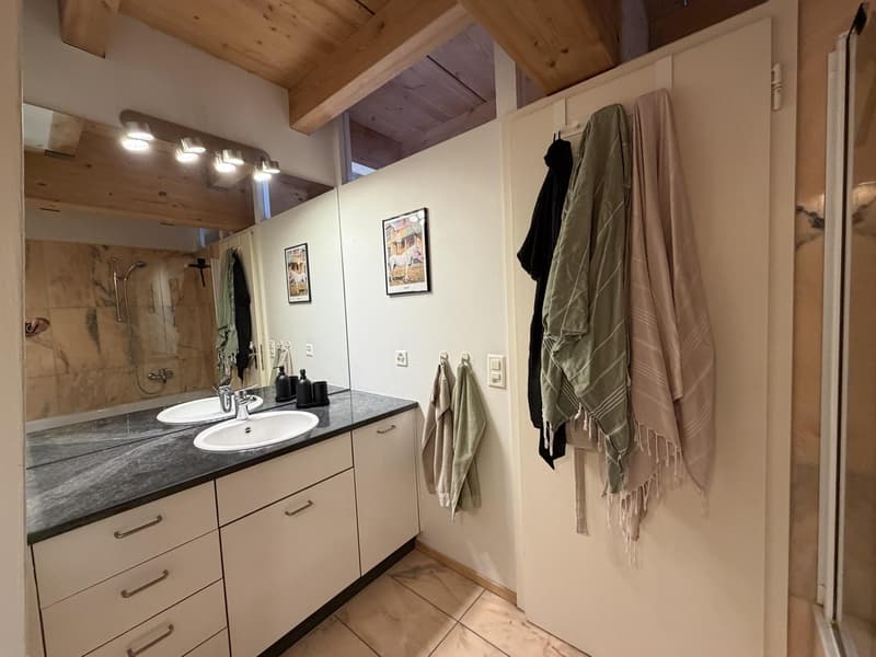 2.5 Zimmerwohnung in Schaffhausen (7)