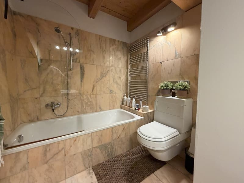 2.5 Zimmerwohnung in Schaffhausen (6)