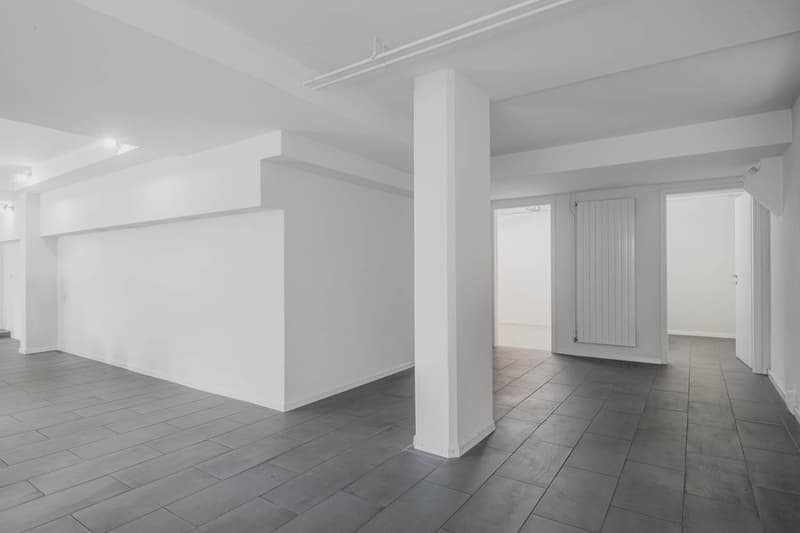 Vielseitige Gewerbe- / Praxis- / Bürofläche (80 m²) an zentraler Lage in Feuerthalen (5)