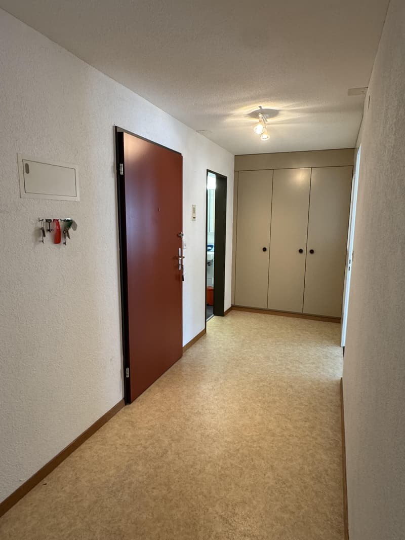 Gemütliche Wohnung an ruhiger Lage in Oberriet SG (4)