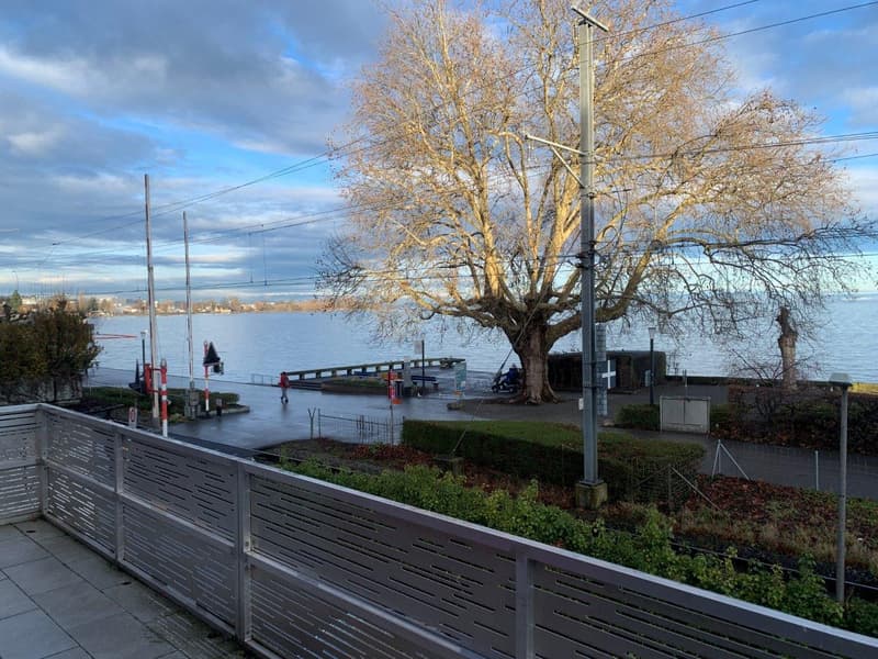 Geräumige 4.5 Zimmer Wohnung mit Blick auf den See (2)