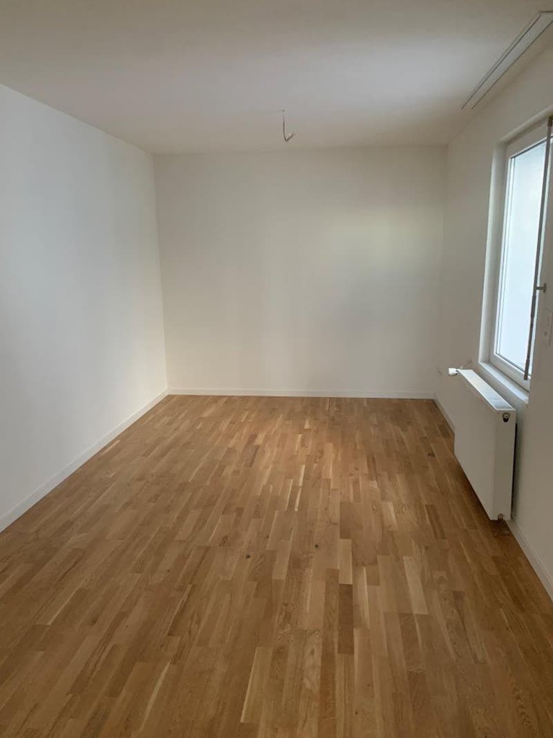 Modernes Wohnen direkt am See! (4)