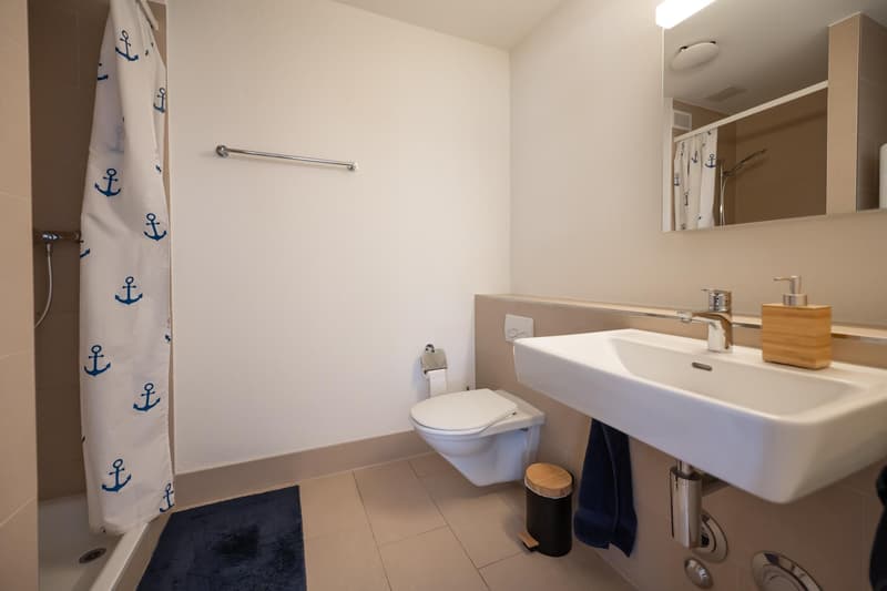 3.5 Zimmerwohnung in Zürich (5)