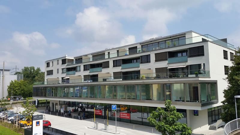 3.5 Zimmerwohnung in Zürich (1)