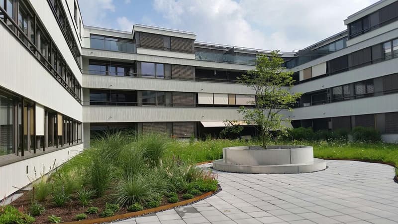 3.5 Zimmerwohnung in Zürich (2)