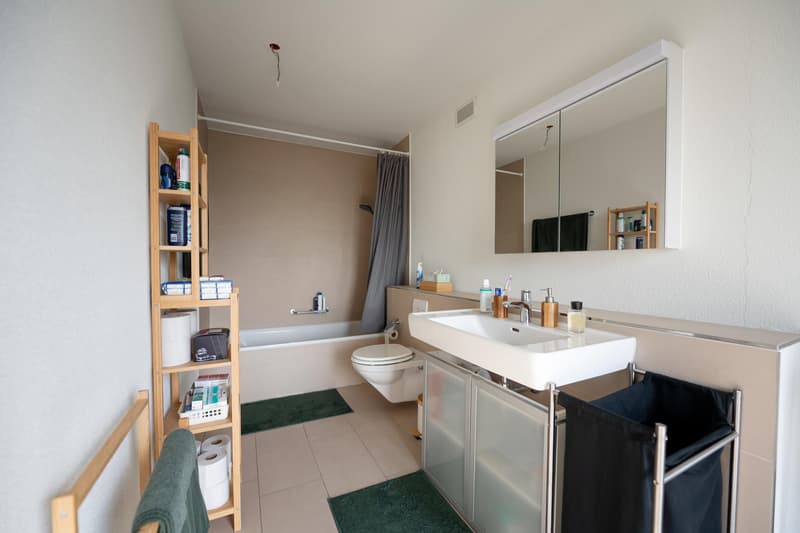 3.5 Zimmerwohnung in Zürich (4)