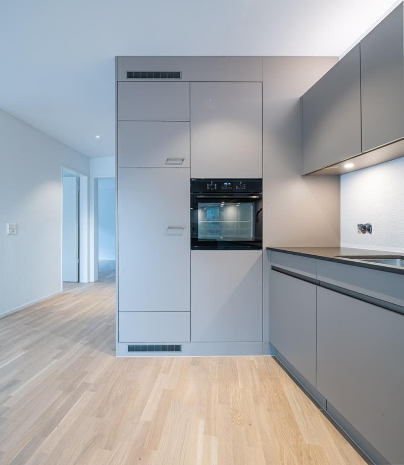 3.5 Zimmerwohnung in Schaffhausen (3)