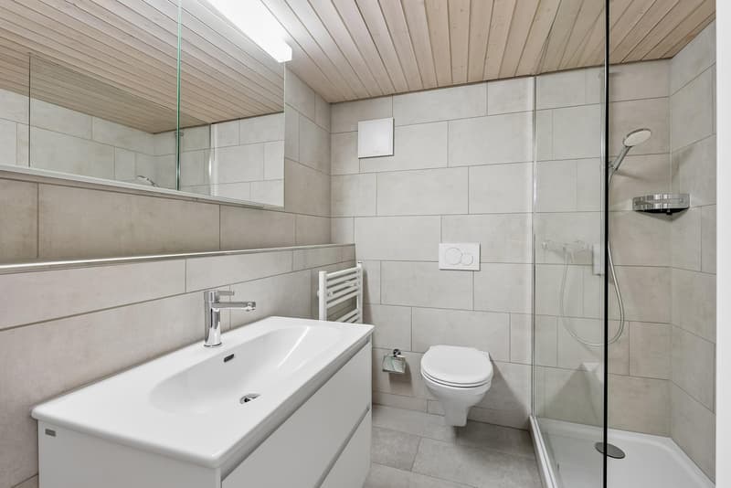 3.5 Zimmerwohnung in Schaffhausen (7)