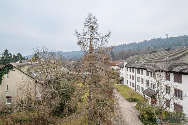 Bahnhofstrasse 85 - 4.5 Zimmerwohnung in Feuerthalen (9)