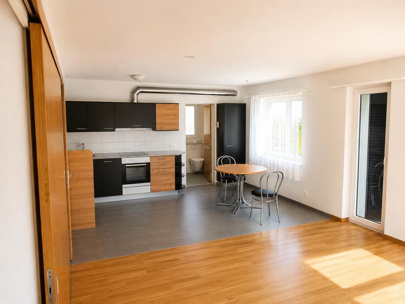 2.0 Zimmerwohnung in Ramsen (3)
