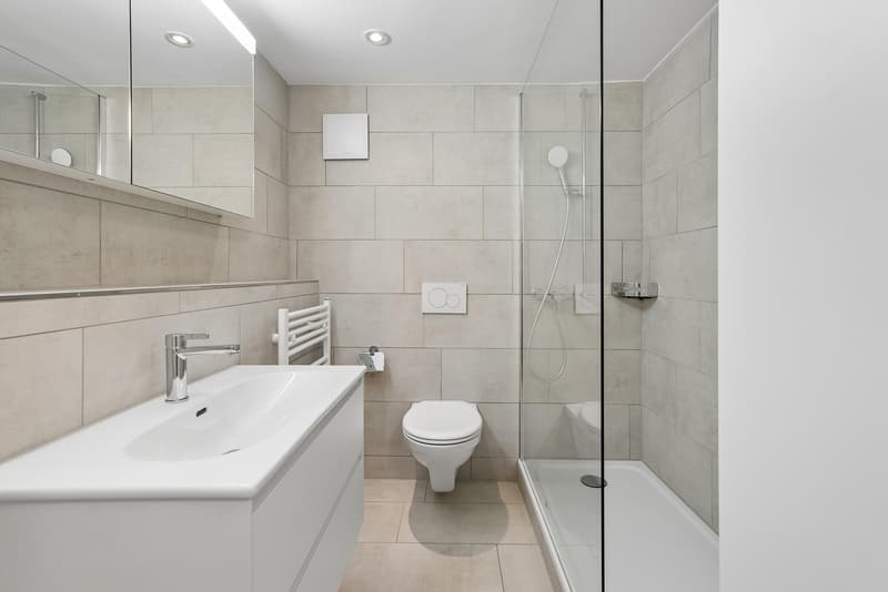 3.5 Zimmerwohnung in Schaffhausen (7)
