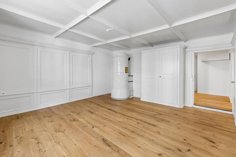 3.5 Zimmerwohnung in Schaffhausen (3)