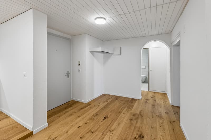 3.5 Zimmerwohnung in Schaffhausen (5)