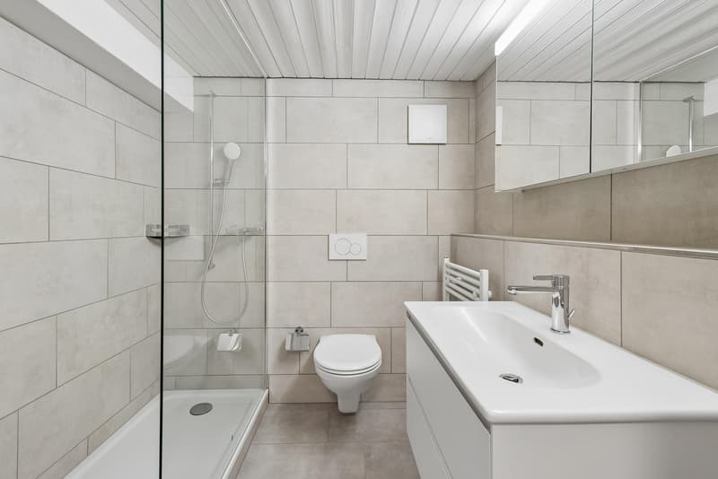 3.5 Zimmerwohnung in Schaffhausen (8)