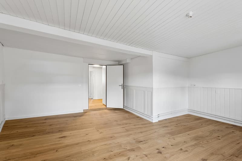 3.5 Zimmerwohnung in Schaffhausen (6)