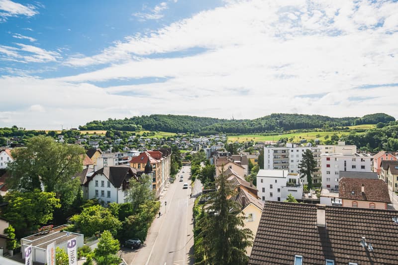 Neu Hausen in Neuhausen - moderne 3.5-Zimmer-Wohnung mit atemberaubender Aussicht (8)
