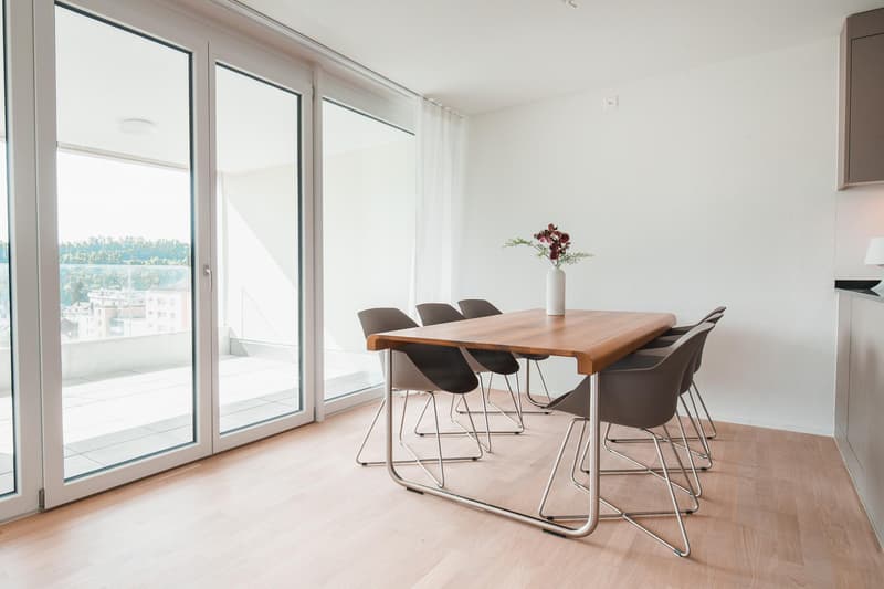 Neu Hausen in Neuhausen - moderne 3.5-Zimmer-Wohnung mit atemberaubender Aussicht (4)