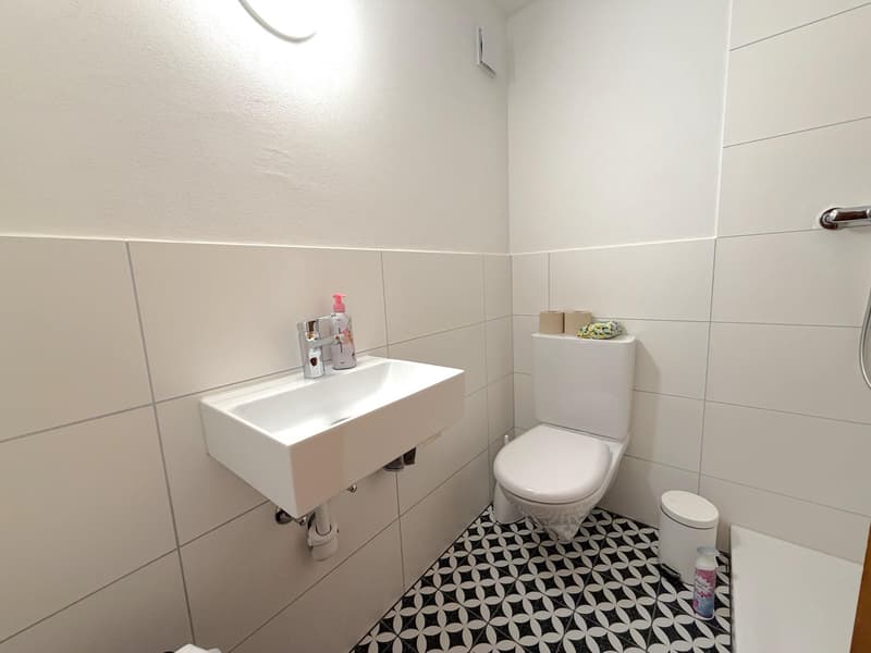 4.5 Zimmerwohnung in Schaffhausen (10)