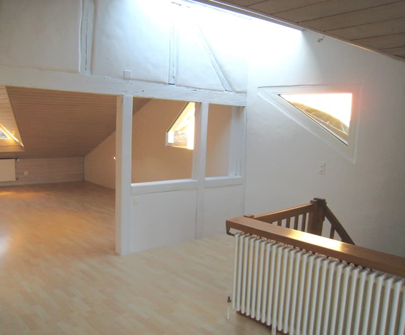 4.5 Zimmerwohnung in Schaffhausen (6)