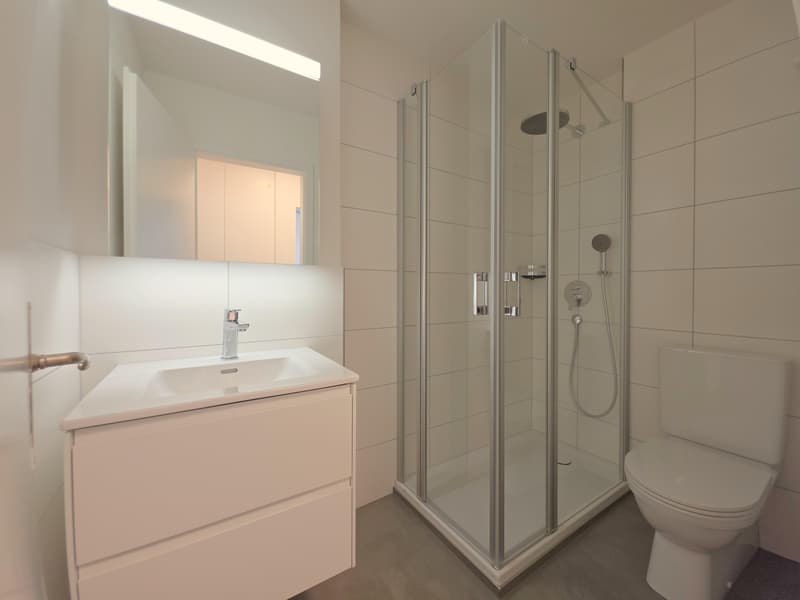 Schöne 2.5 Zimmerwohnung in Schaffhausen (7)