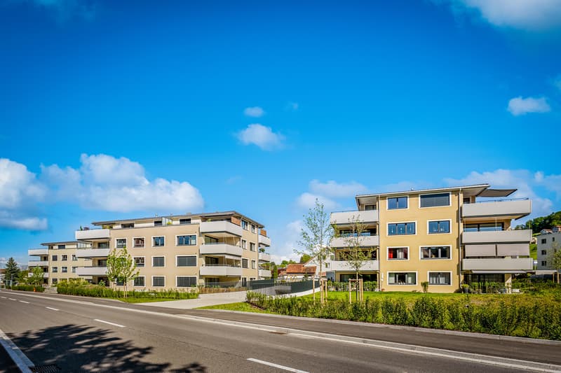 Stilvolle und hochwertig ausgebaute Wohnung (1)
