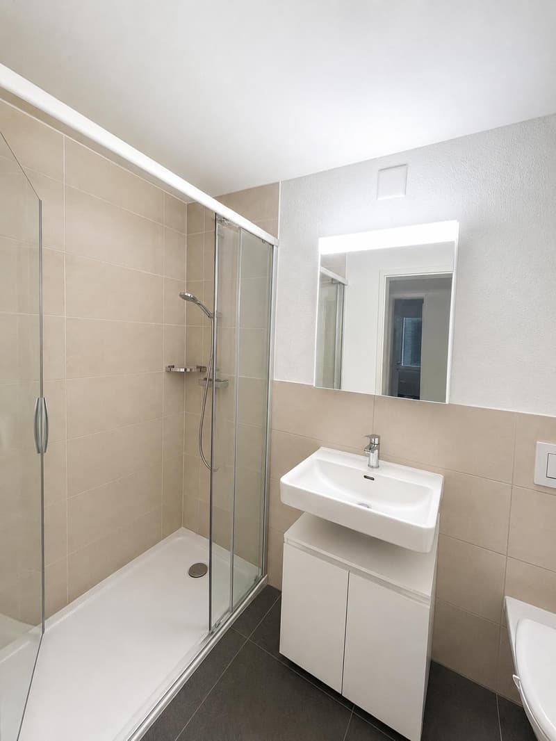 Helle 4.5 Zimmerwohnung in St. Gallen (3)