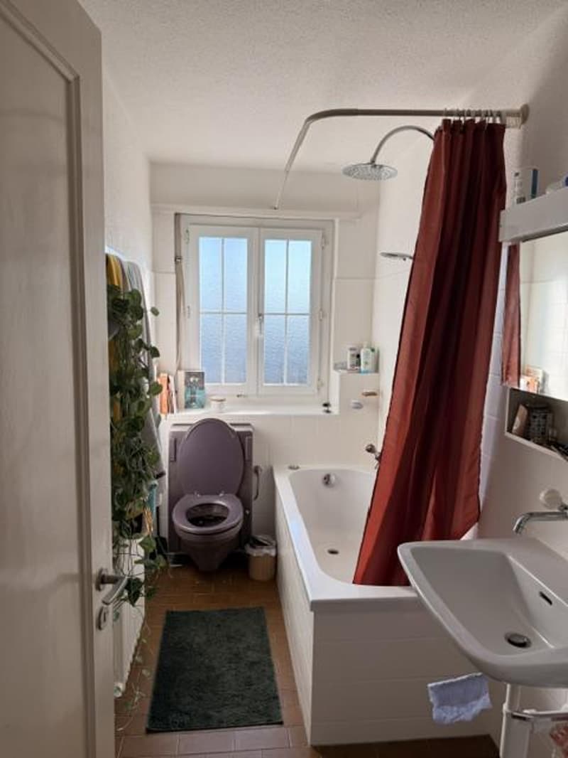 2.5 Zimmerwohnung in Zürich (7)