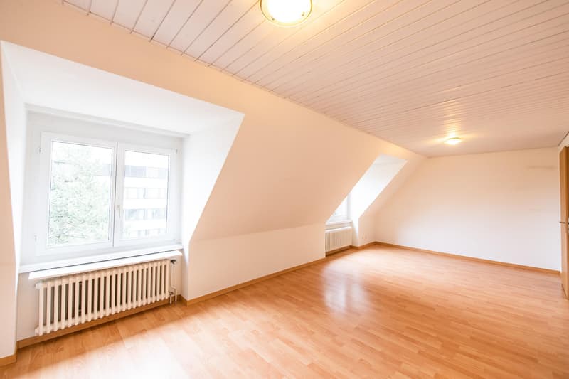 4.5 Zimmerwohnung in Schaffhausen (2)