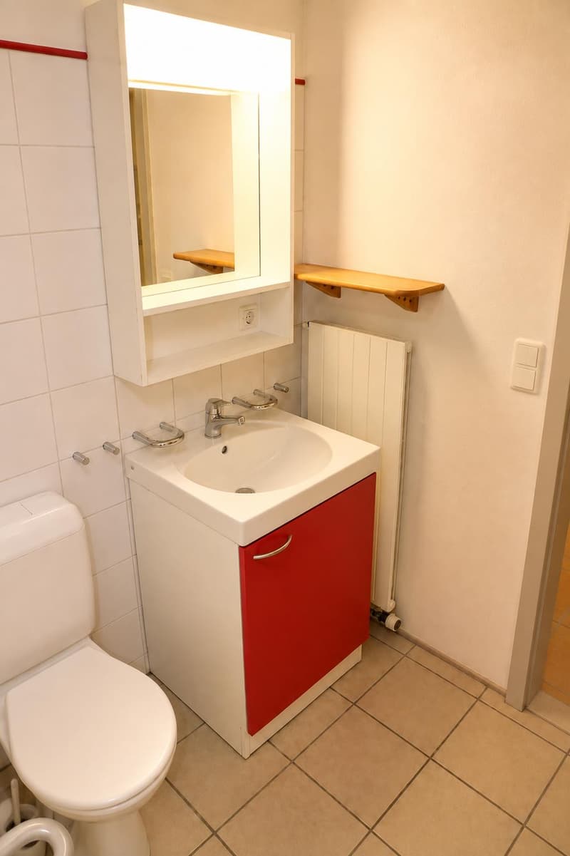 2.0 Zimmerwohnung in Ramsen (4)