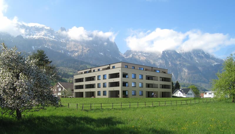3.5 Zimmerwohnung in Gams (1)