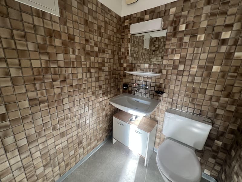 3.5 Zimmerwohnung in Brüttisellen / befristet bis 30.11.2027 (7)