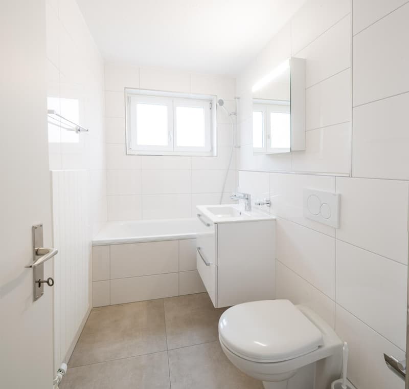 2.5 Zimmerwohnung in Neuhausen am Rheinfall (4)