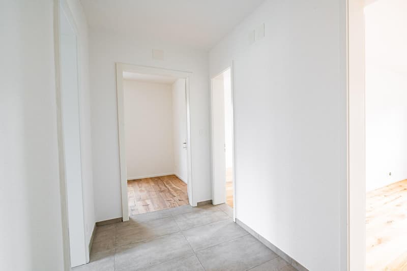 3.5 Zimmerwohnung in Neuhausen am Rheinfall (3)