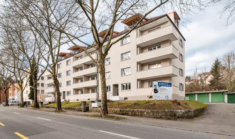 3.5 Zimmerwohnung in Neuhausen am Rheinfall (1)