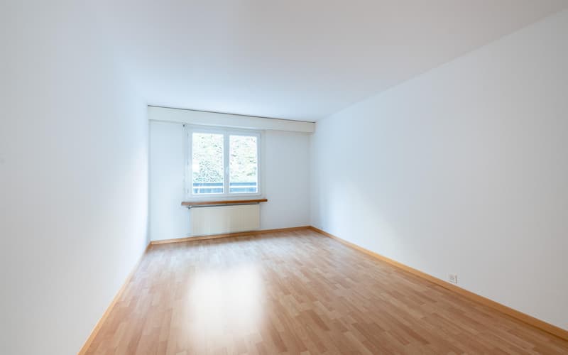 3.5-Zimmer-Wohnung in Schaffhausen (5)