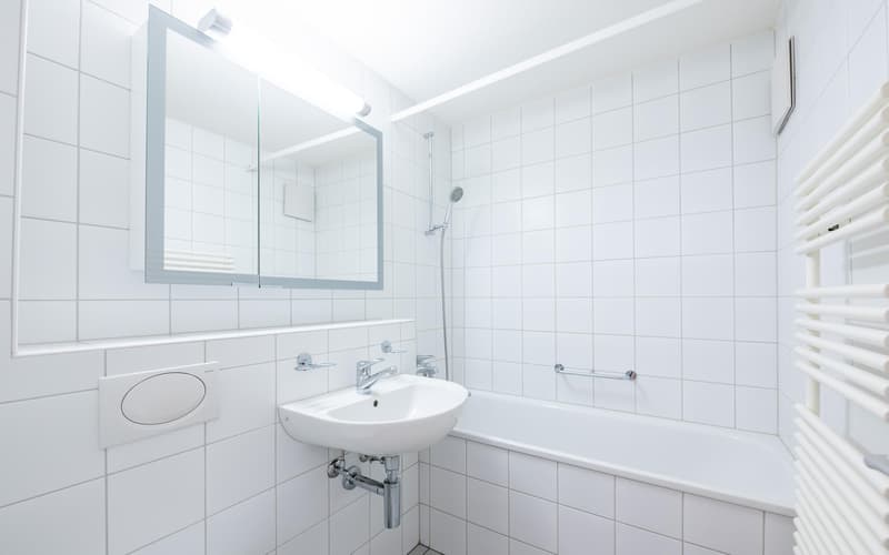 3.5-Zimmer-Wohnung in Schaffhausen (8)