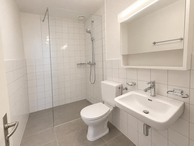 2.0 Zimmerwohnung in Schaffhausen (4)