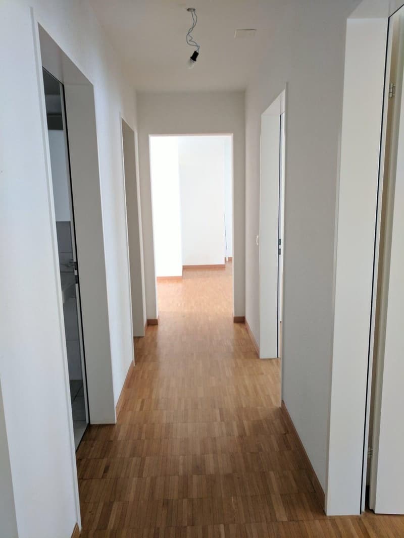 4.5 Zimmerwohnung in Pfungen (4)