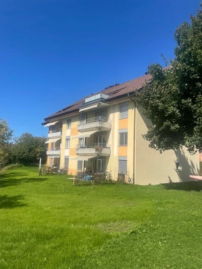 Grosszügige 4.5 Zimmerwohnung in Tann / befristet bis 30.09.2027 (1)