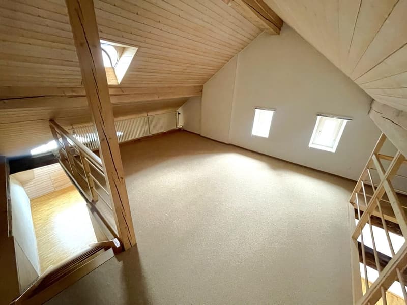 3.0 Zimmerwohnung in Schaffhausen (6)