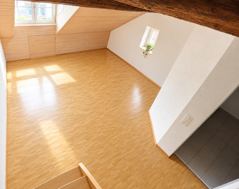 3.0 Zimmerwohnung in Schaffhausen (4)