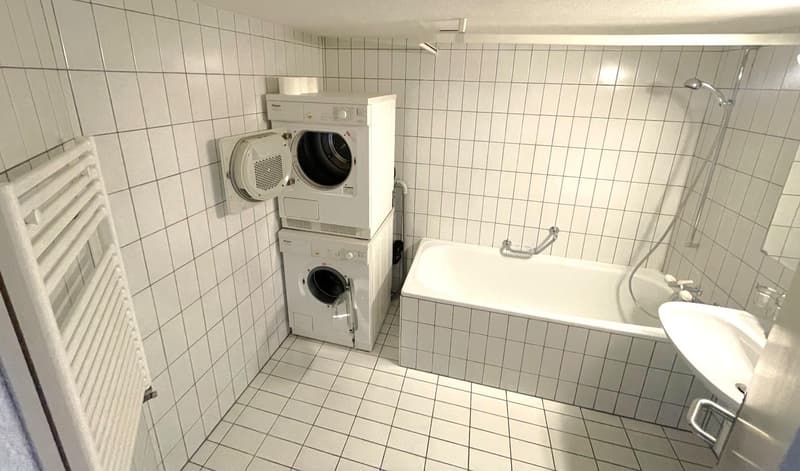 3.0 Zimmerwohnung in Schaffhausen (7)