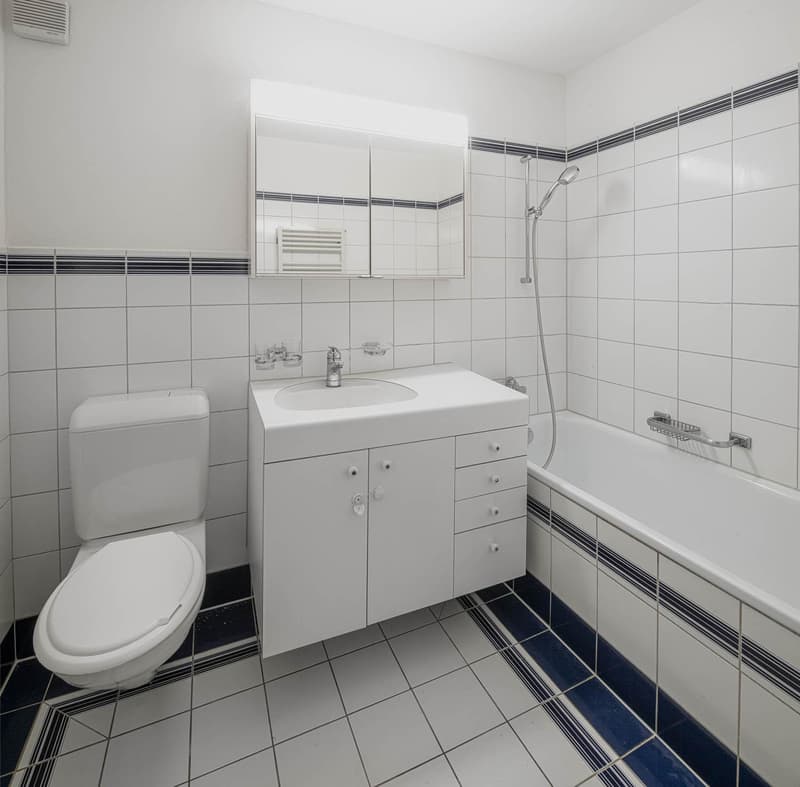 4.5 Zimmerwohnung in Schaffhausen (11)