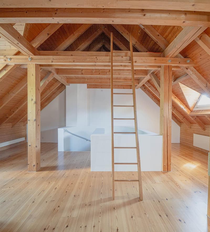 4.5 Zimmerwohnung in Schaffhausen (7)