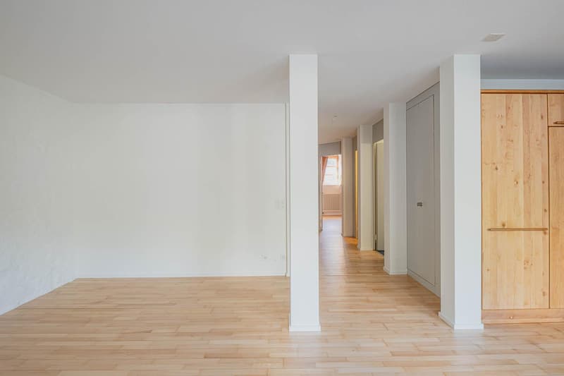 4.5 Zimmerwohnung in Schaffhausen (4)