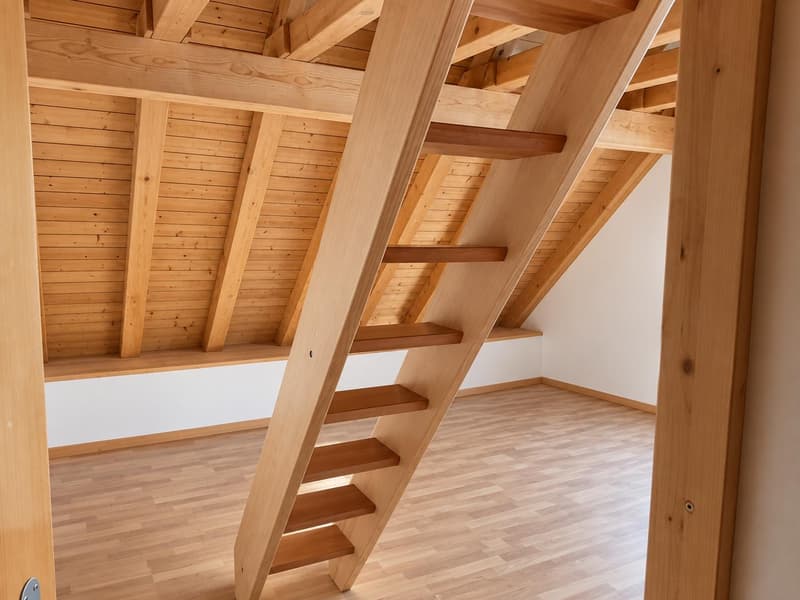 3.0 Zimmerwohnung in Ramsen (10)