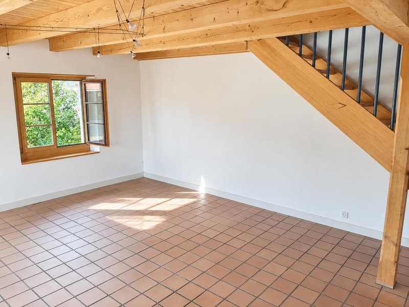 3.0 Zimmerwohnung in Ramsen (4)